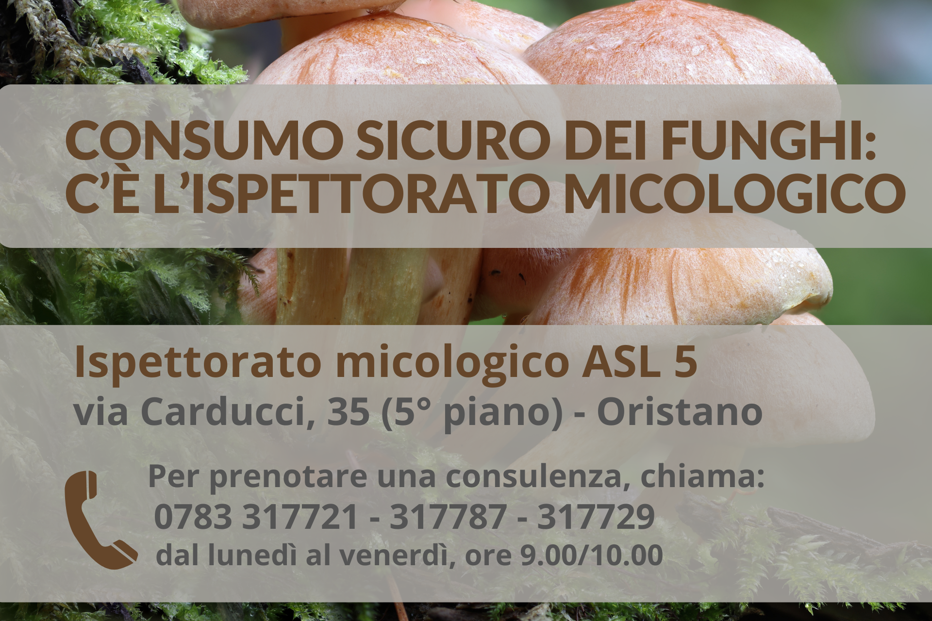 Consumo sicuro dei funghi: attivo l’ispettorato micologico